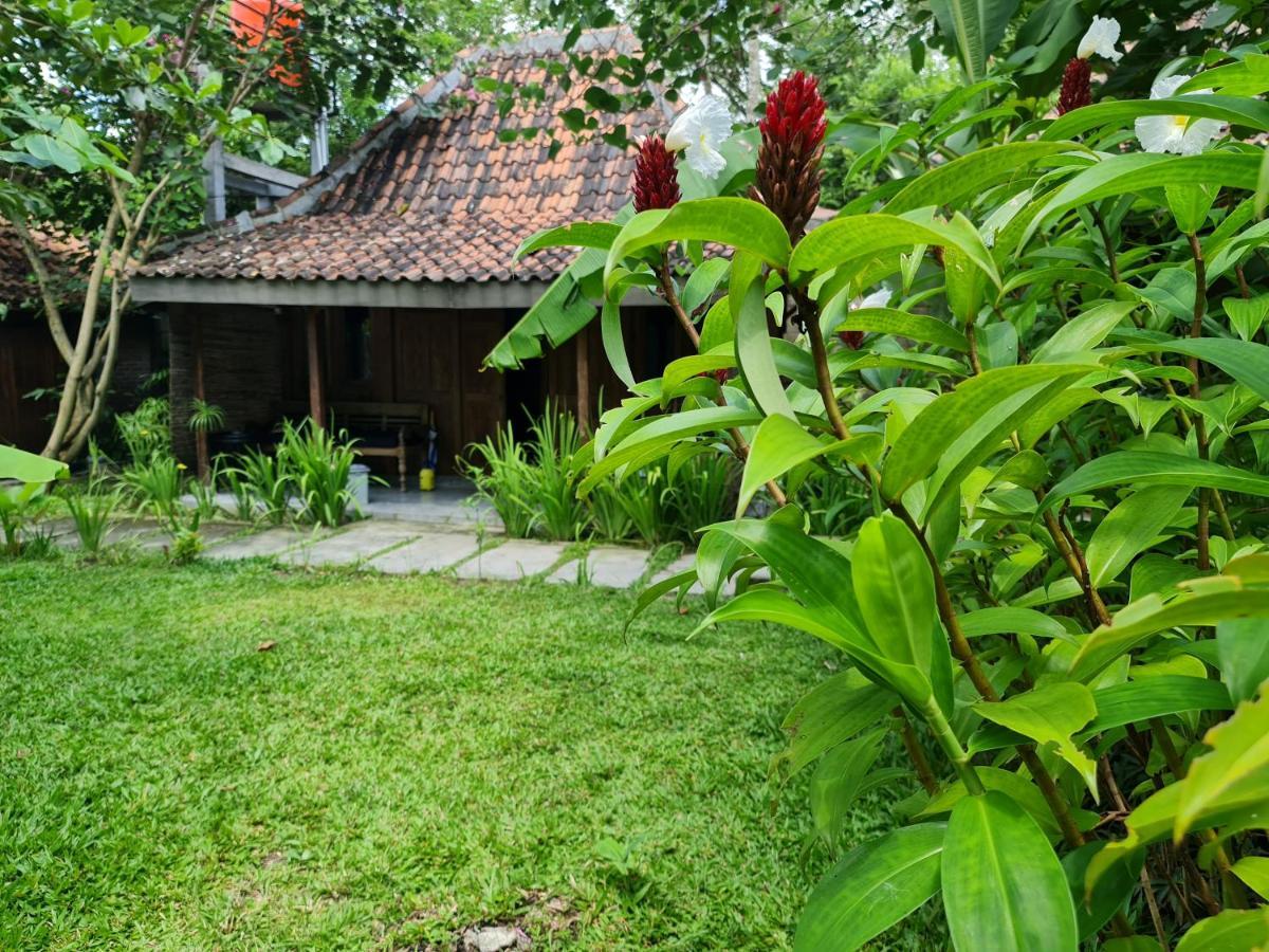 Villa Kayu 日惹 外观 照片