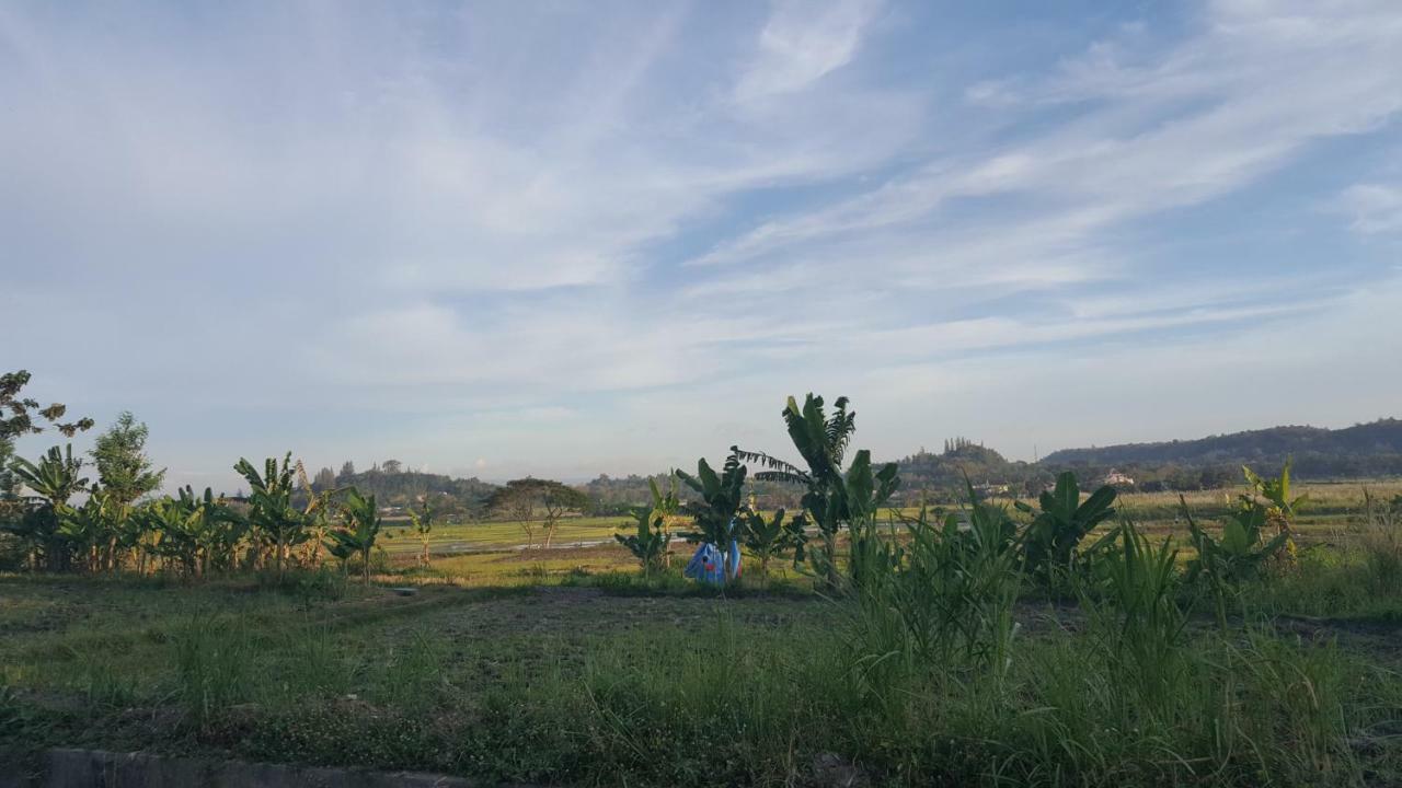 Villa Kayu 日惹 外观 照片