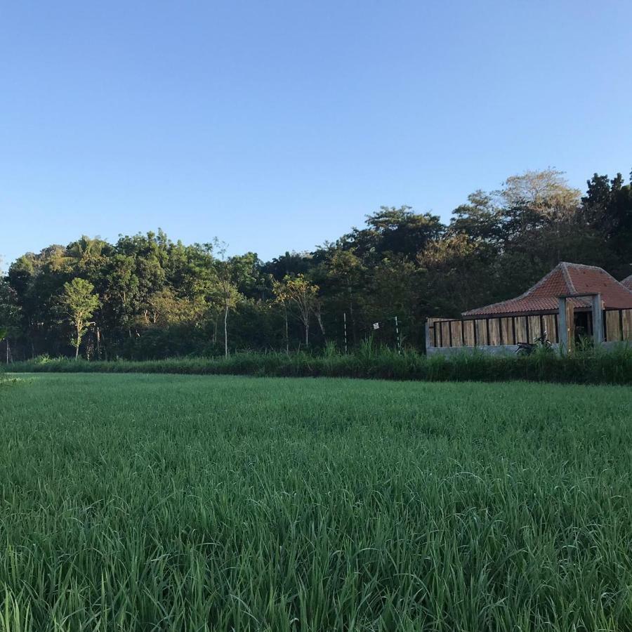 Villa Kayu 日惹 外观 照片